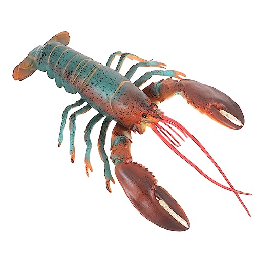 SOPOTUTU Lifelike Lobster Model Toy für Realistische Hummer Dekoration aus Hochwertigem Plastik Lernspielzeug und Dekoratives Element für Aquarien oder Schreibtische SOPOTUTU Lifelike Lobster Model Toy für Realistische Hummer Dekoration aus Hochwertigem Plastik Lernspielzeug und Dekoratives Element für Aquarien oder Schreibtische von SOPOTUTU