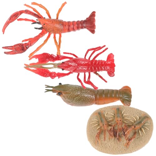 SOPOTUTU Lobster Wachstumszyklus Modellset Lernspielzeug Biologisches Kognitives Realistisches Tiermodell für Wissenschaftliche Bildung und Naturerfahrung SOPOTUTU Lobster Wachstumszyklus Modellset Lernspielzeug Biologisches Kognitives Realistisches Tiermodell für Wissenschaftliche Bildung und Naturerfahrung von SOPOTUTU