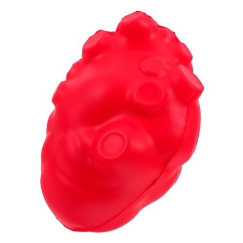 SOPOTUTU Simulation Organ Modell Für Unterricht Realistisches Herz Spielzeug Für Anatomische Demonstrationen Für Medizinische Schulen Und Biologielabore Detailgetreue Nachbildung von SOPOTUTU