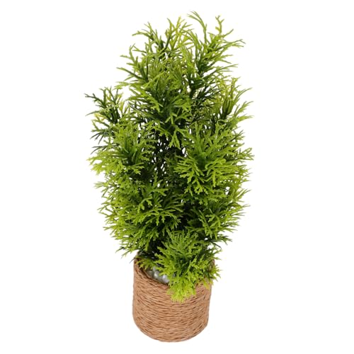 SOPOTUTU Miniatur Bonsai Pflanze Kunststoffmodell Lebensecht Gestaltete Mini Topfpflanze für Puppenhaus Dekoration Realistische Grüne Garten Bonsai Simulation Kleines Haus Ornament von SOPOTUTU