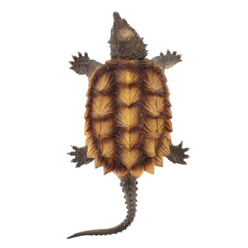 SOPOTUTU Miniatur Schnappschildkröten Figur aus Lebensecht Gestaltetes Modell Dekoratives Tierornament für Zuhause Büro und Sammler Leicht und Detailreich Gestaltet SOPOTUTU Miniatur Schnappschildkröten Figur aus Lebensecht Gestaltetes Modell Dekoratives Tierornament für Zuhause Büro und Sammler Leicht und Detailreich Gestaltet von SOPOTUTU