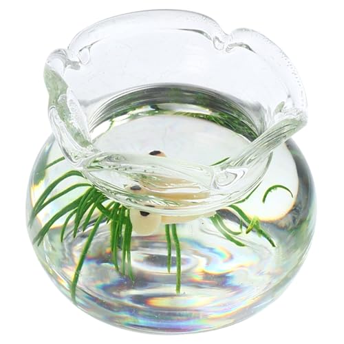 SOPOTUTU Miniaturisierte Fischschale für Puppenhaus Resin Aquarium Deko Accessoire für Miniaturhäuser Küchentisch Centerpiece Wohnaccessoire SOPOTUTU Miniaturisierte Fischschale für Puppenhaus Resin Aquarium Deko Accessoire für Miniaturhäuser Küchentisch Centerpiece Wohnaccessoire von SOPOTUTU