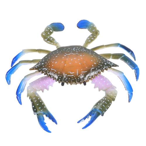 SOPOTUTU Plastik Krabbenmodell Figur Farbiges Robustes Kunststoff krabben Realistischem Design Kindgerecht Abriebfest Leicht und Sicher für Lernen SOPOTUTU Plastik Krabbenmodell Figur Farbiges Robustes Kunststoff krabben Realistischem Design Kindgerecht Abriebfest Leicht und Sicher für Lernen von SOPOTUTU