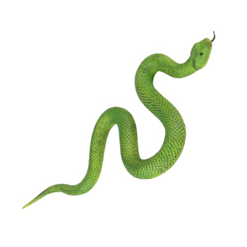SOPOTUTU Realistische Grüne Gummischlange Modellspielzeug aus Weichem TPR Detailgetreues Schlange Ornament für Halloween Deko Streichspielzeug und Naturpädagogik SOPOTUTU Realistische Grüne Gummischlange Modellspielzeug aus Weichem TPR Detailgetreues Schlange Ornament für Halloween Deko Streichspielzeug und Naturpädagogik von SOPOTUTU