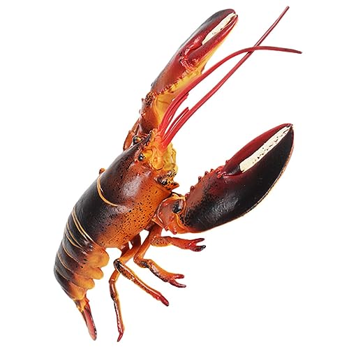 SOPOTUTU Realistisches Plastiklobster Modell Simulation Lobster Figur für Garten und Dekoration Langlebige Lobster Figur mit Lebendigen Farben und Realistischem Design SOPOTUTU Realistisches Plastiklobster Modell Simulation Lobster Figur für Garten und Dekoration Langlebige Lobster Figur mit Lebendigen Farben und Realistischem Design von SOPOTUTU
