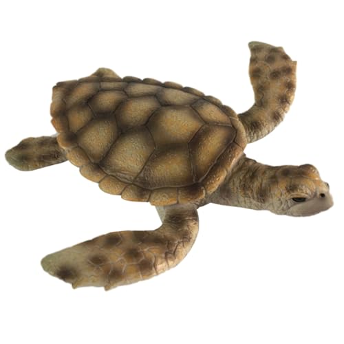 SOPOTUTU Realistisches Schildkröten Hochwertigem PVC Pädagogisches Meerestiere Modell für Fördert Fantasie und Farberkennung Sicher und Dekorativ für Junge SOPOTUTU Realistisches Schildkröten Hochwertigem PVC Pädagogisches Meerestiere Modell für Fördert Fantasie und Farberkennung Sicher und Dekorativ für Junge von SOPOTUTU