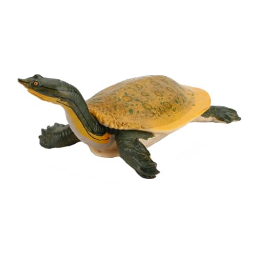 SOPOTUTU Realistisches Simulation Süßwasser schildkrötenmodell Kinderspielzeug Pädagogisch Fallfest Korrosionsbeständig Kreatives Naturerlebnis Dekoration für Kinderzimmer und Themenpartys SOPOTUTU Realistisches Simulation Süßwasser schildkrötenmodell Kinderspielzeug Pädagogisch Fallfest Korrosionsbeständig Kreatives Naturerlebnis Dekoration für Kinderzimmer und Themenpartys von SOPOTUTU