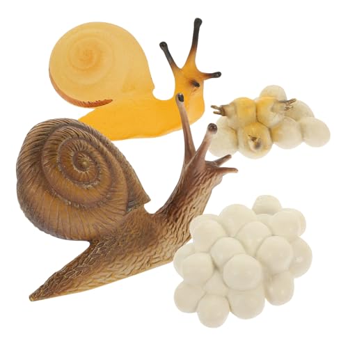 SOPOTUTU Snail Life Cycle Modell Realistisches Schneckenwachstum aus Sicherem Kunststoff Pädagogisch Wertvolles Lernspielzeug für Biologisches Lernmodell zur Naturerfahrung von SOPOTUTU