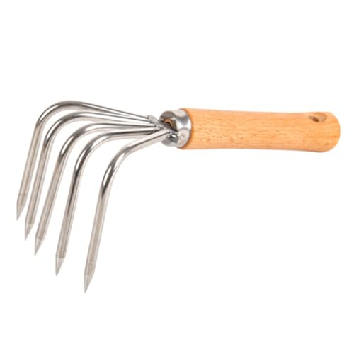 SOPOTUTU Strandrechen mit Zähnen Stahlkrallen und Ergonomischem Holzgriff Robust Wetterfest rutschfest Leicht zum Muscheln und Meeresfrüchte Am Strand Sammeln und Graben SOPOTUTU Strandrechen mit Zähnen Stahlkrallen und Ergonomischem Holzgriff Robust Wetterfest rutschfest Leicht zum Muscheln und Meeresfrüchte Am Strand Sammeln und Graben von SOPOTUTU