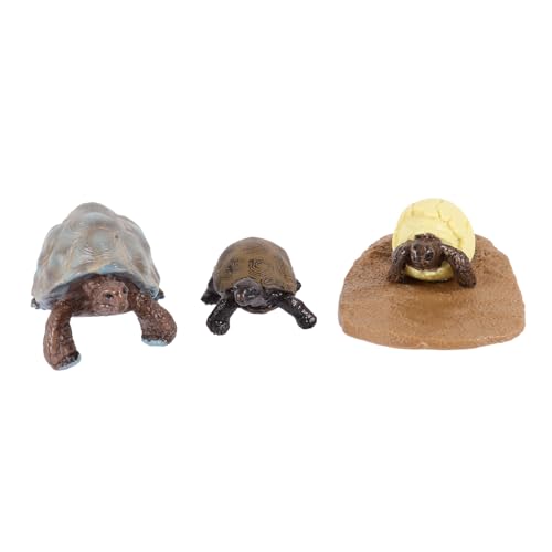 SOPOTUTU Teiliges Schildkröten Lebenszyklus Modell aus Leichtem Kunststoff Pädagogisches Lernspielzeug zur Naturerkennung Realistische Tierfiguren als Kognitives und Dekoration SOPOTUTU Teiliges Schildkröten Lebenszyklus Modell aus Leichtem Kunststoff Pädagogisches Lernspielzeug zur Naturerkennung Realistische Tierfiguren als Kognitives und Dekoration von SOPOTUTU