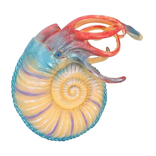 SOPOTUTU Tiere Modell Figur Realistische Nautilus für Aquarium Deko Lebendige Meereslebewesen für Lernspielzeug mit Feiner Verarbeitung und Details von SOPOTUTU