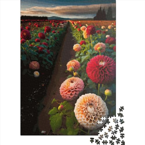 1000-teiliges Puzzle „Dahlienfeld“ für Erwachsene, Holzpuzzle für die ganze Familie, Stressabbau-Puzzle für Erwachsene ab 18 Jahren, 1000 Teile (75 x 50 cm) von SOQWBYG