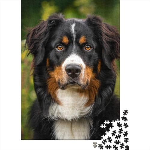 Puzzle für Erwachsene, Springer-Spaniel-Puzzle, 520-teilig, Holzpuzzle für die Heimdekoration, 520 Teile (52 x 38 cm) von SOQWBYG