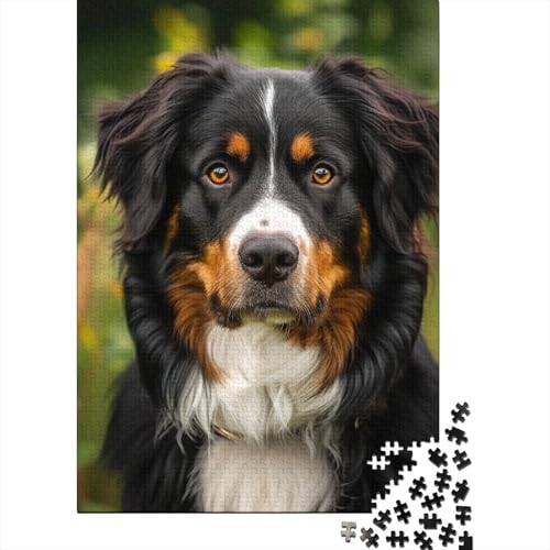 Puzzle für Erwachsene mit 1500 Teilen, Springer Spaniel, Puzzle für Erwachsene, rechteckiges Holzpuzzle, kreatives Puzzle, 1500 Teile (85 x 57 cm) von SOQWBYG