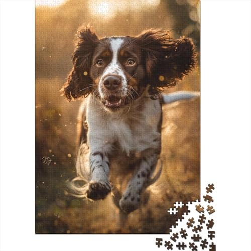 Springer Spaniel-Puzzle für Erwachsene, 520 Teile, schwieriges Puzzle, unmögliches Puzzle für Kinder ab 18 Jahren, 520 Teile (52 x 38 cm) von SOQWBYG