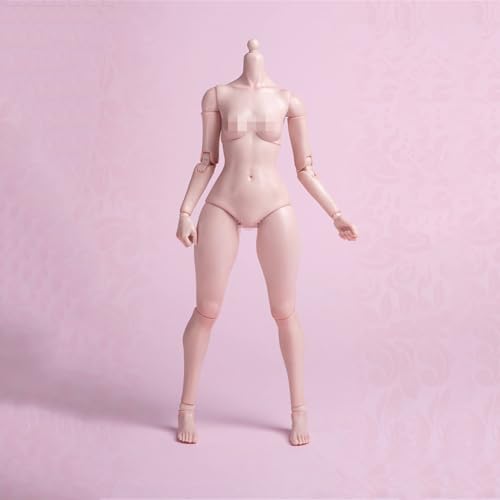 SOUFORCE 1/6 Scale Super Flexible Female Body Worldbox Fat Version 30.5 cm Pale Skin Seamless Miniature Action Figure Soldier Body Doll Collection Without Head Sculpt SOUFORCE 1/6 Scale Super Flexible Female Body Worldbox Fat Version 30.5 cm Pale Skin Seamless Miniature Action Figure Soldier Body Doll Collection Without Head Sculpt von SOUFORCE