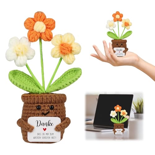 SPERMUOY Positive Kartoffel Pocket Hug,Positive Potato Geschenk Positive Kartoffel Deutsch Glücksbringer,Positive Pocket Hug Gestrickte mehrfarbige Blumenpuppe von SPERMUOY