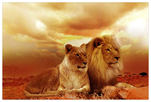 1500 Teile Puzzle für Erwachsene und Kinder,Wilder Löwe und Löwin Puzzle,Unmögliches Rätsel 1500 Teile Puzzle für Erwachsene und Kinder,Wilder Löwe und Löwin Puzzle,Unmögliches Rätsel von SPLMho