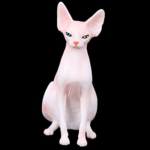 SPYMINNPOO Haarlose Katze Figur, Simulation Haarlose Katze Modell Tier Statue Ornamente für Home Desktop Dekoration KindSpielzeug (PL127-1562) von SPYMINNPOO