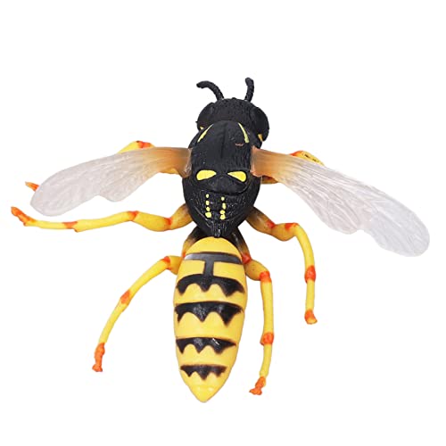 SPYMINNPOO Insekten Spielzeug, Biene Lebenszyklus Wespe Figur Insekten Figuren Modell Frühe Bildungssimulation Simulation Tierfiguren Insektenspielzeug für Kindergeschenke SPYMINNPOO Insekten Spielzeug, Biene Lebenszyklus Wespe Figur Insekten Figuren Modell Frühe Bildungssimulation Simulation Tierfiguren Insektenspielzeug für Kindergeschenke von SPYMINNPOO