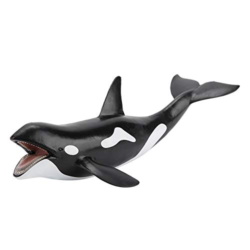 SPYMINNPOO Wal-Spielzeug-Modell, Simulation Wal-Miniatur-Tier-Spielzeug-Ozean-Tier-Figur, Realistische Pädagogische Marine-Modell-Figur für Geburtstagsgeschenke(Killerwal) von SPYMINNPOO