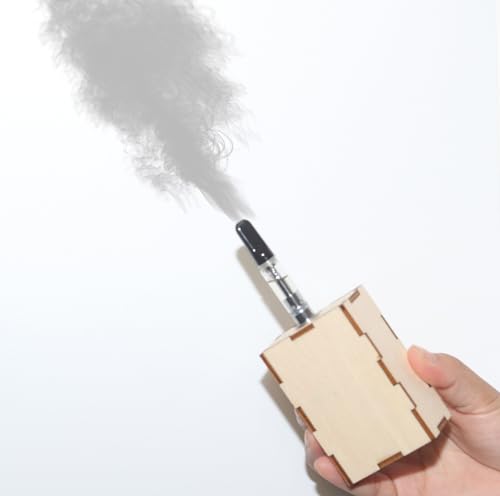 SSZZMM33 Nebel Mini-Maschine für den Außenbereich, Party, Fernbedienung, tragbar, leicht, Rauch, kleine Maschine für DJ-Bühne im Innenbereich (Holzbox), ML-FMOFOG1 von SSZZMM33