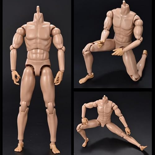 Actionfiguren im Maßstab 1/6 für benutzerdefinierte 30,5 cm 1:6 männliche Figur Körpermaßstab Kopf Sculpt geschnitzt von SSbeauty M