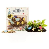 DIE STADTGÄRTNER 1003753 Timos Saatgutkonfetti DIE STADTGÄRTNER 1003753 Timos Saatgutkonfetti von STADTGÄRTNER