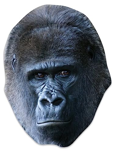 STAR CUTOUTS SM450 Gorilla-Maske aus Karton – erstaunliches Gesprächsthema – so realistisch von STAR CUTOUTS