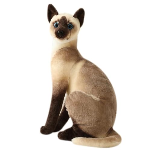 Kuscheltier Katze Lebensecht, 35cm Simulation Kurzhaar Nette Katze Puppe Flauschigen Pl체sch K채tzchen Liegend Stofftier echt siamesische Katze Pl체schtier Katze Pl체schfiur Spielzeug f체r Kinder Frauen Kuscheltier Katze Lebensecht, 35cm Simulation Kurzhaar Nette Katze Puppe Flauschigen Pl체sch K채tzchen Liegend Stofftier echt siamesische Katze Pl체schtier Katze Pl체schfiur Spielzeug f체r Kinder Frauen von STARTONYOU