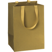 BRUNNEN 2541782096 STEWO Geschenktasche One Colour 10×14×8 cm, 250 g/m², gold BRUNNEN 2541782096 STEWO Geschenktasche One Colour 10×14×8 cm, 250 g/m², gold von STEWO