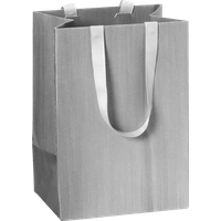 BRUNNEN 2541782196 STEWO Geschenktasche One Colour 10×14×8 cm, 250 g/m², silber BRUNNEN 2541782196 STEWO Geschenktasche One Colour 10×14×8 cm, 250 g/m², silber von STEWO