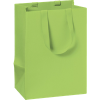 BRUNNEN 2541782896 STEWO Geschenktasche One Colour 10×14×8 cm, 250 g/m², hellgrün BRUNNEN 2541782896 STEWO Geschenktasche One Colour 10×14×8 cm, 250 g/m², hellgrün von STEWO