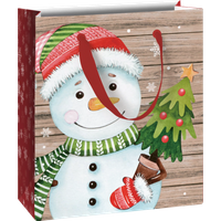 BRUNNEN 2543510960 STEWO Geschenktasche „Alwin“ 18×21×8 cm, 180 g/m², mehrfarbig BRUNNEN 2543510960 STEWO Geschenktasche „Alwin“ 18×21×8 cm, 180 g/m², mehrfarbig von STEWO