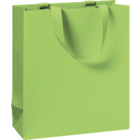 BRUNNEN 2543782896 STEWO Geschenktasche One Colour 18×21×8 cm, 250 g/m², hellgrün BRUNNEN 2543782896 STEWO Geschenktasche One Colour 18×21×8 cm, 250 g/m², hellgrün von STEWO