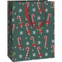 BRUNNEN 2544510545 STEWO Geschenktasche „Tika“ 23×30×13 cm, 180 g/m², grün BRUNNEN 2544510545 STEWO Geschenktasche „Tika“ 23×30×13 cm, 180 g/m², grün von STEWO