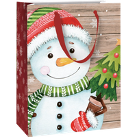 BRUNNEN 2544510960 STEWO Geschenktasche „Alwin“ 23×30×13 cm, 180 g/m², mehrfarbig BRUNNEN 2544510960 STEWO Geschenktasche „Alwin“ 23×30×13 cm, 180 g/m², mehrfarbig von STEWO