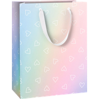 BRUNNEN 2544520825 STEWO Geschenktasche „Kayla“ 23×30×13 cm, 250 g/m², mehrfarbig/regenbogen BRUNNEN 2544520825 STEWO Geschenktasche „Kayla“ 23×30×13 cm, 250 g/m², mehrfarbig/regenbogen von STEWO