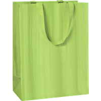 BRUNNEN 2544782896 STEWO Geschenktasche One Colour 23×30×13 cm, 250 g/m², hellgrün BRUNNEN 2544782896 STEWO Geschenktasche One Colour 23×30×13 cm, 250 g/m², hellgrün von STEWO