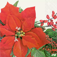 BRUNNEN 2572765420 STEWO Servietten „Amilia“ 33×33 cm, rot, 20 Stück BRUNNEN 2572765420 STEWO Servietten „Amilia“ 33×33 cm, rot, 20 Stück von STEWO