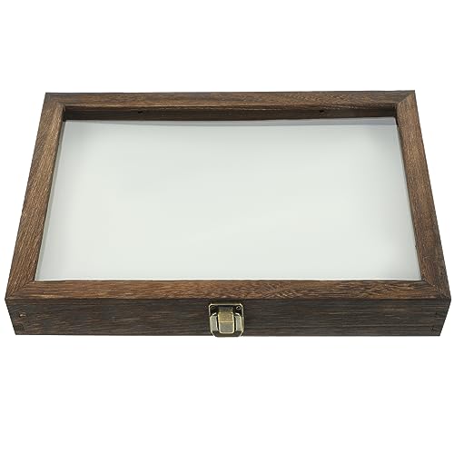 Holzvitrine: Holz-Sammelbox Für Insekten Schmetterlinge Pflanzenproben Mit Klarem Glas – Schattenbox-Bilderrahmen Mit Weißem Nadelkissen von STOBAZA