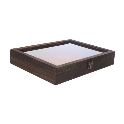 STOBAZA Insektenproben Displaybox Mit Deckel Vintage Aufbewahrung Für Schmetterlinge Kleine Sammlerstücke Zum Hängen Präsentieren Von Exemplaren von STOBAZA