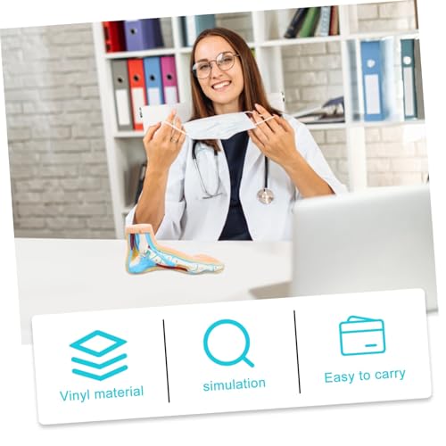 STOBAZA Medizinisches Fußmodell Normaler Fuß Vinyl Anatomisches Lehrmodell für Fußmuskeln Bänder Gelenke Realistisches Fußgelenk Modell für Physiologie Unterricht Schule STOBAZA Medizinisches Fußmodell Normaler Fuß Vinyl Anatomisches Lehrmodell für Fußmuskeln Bänder Gelenke Realistisches Fußgelenk Modell für Physiologie Unterricht Schule von STOBAZA