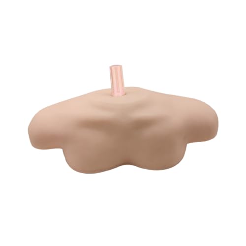 STOBAZA Realistisches Schultermodell für Übungskopf mit Simulierten Schultern Wiederverwendbar Beauty Salon Supply Geeignet für Professionelles Training und Heimgebrauch von STOBAZA