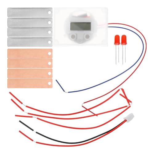 STOBOK 2sätze DIY Obstbatterie Experimentierkasten Wissenschaftliches Experiment Für Schüler Lernspielzeug Kreativität Und Praktischen Fähigkeiten von STOBOK
