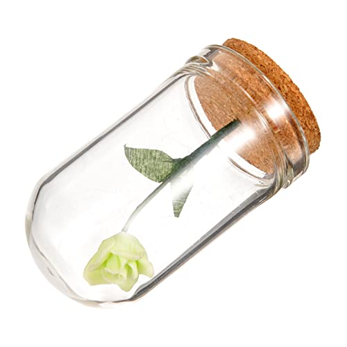 STOBOK konservierte bescherungg schönes Geschenk Puppenhauszubehör Mini-Zimmerpflanzen vitroleros para Mini Esstisch Miniaturrose in Glaskuppel künstlich von STOBOK