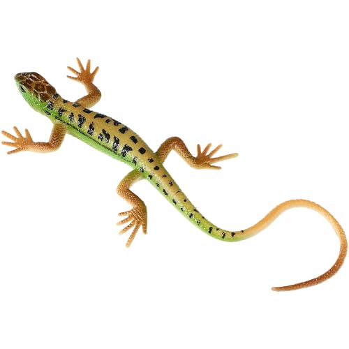 STOBOK Lizard Figur Gefälschte Eidechse Kunststoff Eidechse Spielzeug Action Figure Reptil Spielzeug für Sammlung Wissenschaft Pädagogisches Prop ( Grün ) von STOBOK