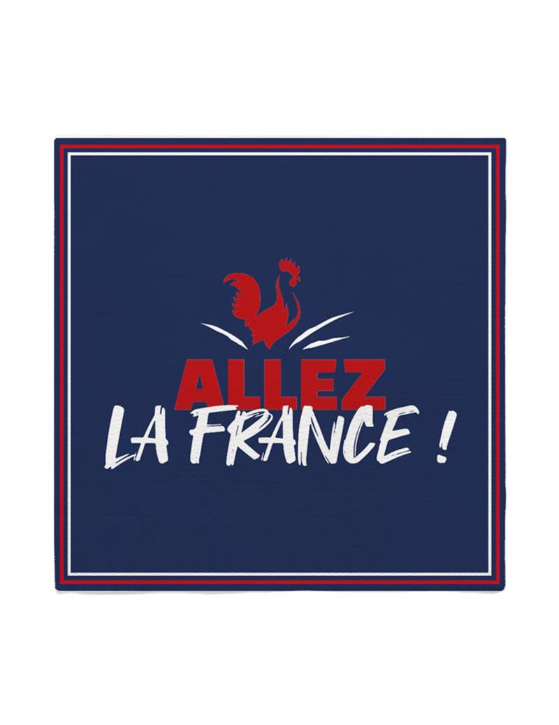 10 Frankreich Papierservietten von SUD TRADING