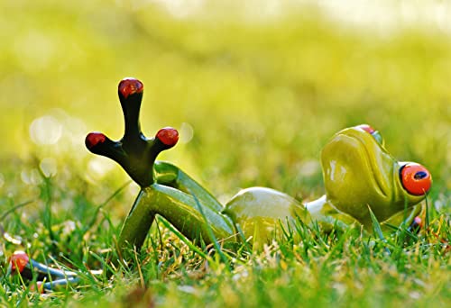 Puzzle 1000 Teile für Erwachsene Mini Puzzles Frosch Erlang Beine Teenager Kinder Familie Herausfordernde Spiele Unterhaltung Spielzeug Geschenke 38 * 26 cm von SUGOO