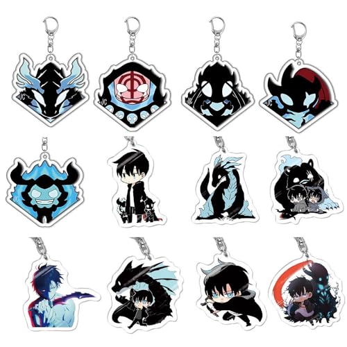 SUJEBRAN 12 Set Solo Levelings Schlüsselanhänger Anime Figur Key Chain Kollektionen Niedliche Tasche Charms von SUJEBRAN